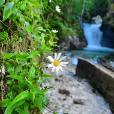 Pretner, Lepena * Soca