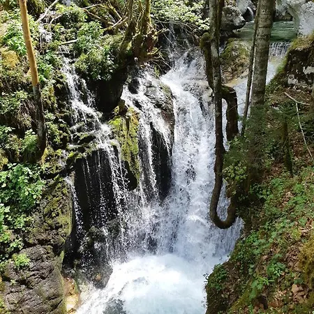 Appartement Pretner, Lepena