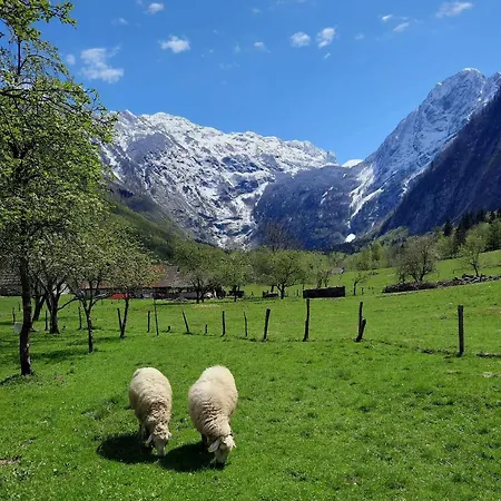 Pretner, Lepena Daire Soča