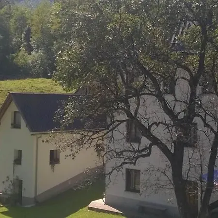 Appartamento Pretner, Lepena *