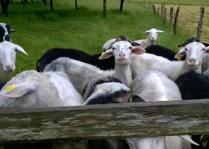 Appartamento Pretner, Lepena *