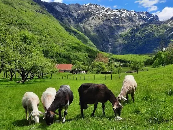 Appartamento Pretner, Lepena