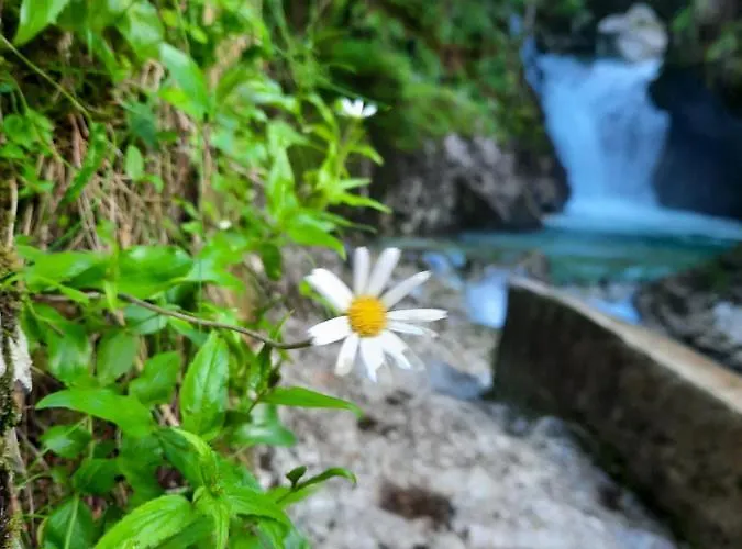 Pretner, Lepena * Soča