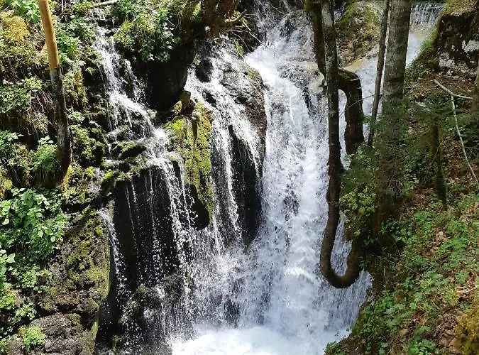 Appartamento Pretner, Lepena