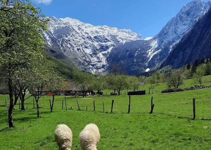 Pretner, Lepena Appartamento Soča