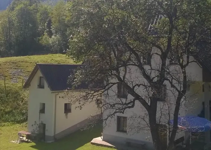 Appartamento Pretner, Lepena *